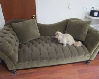 The most gorgeous olive velvet sofa.....Henry too