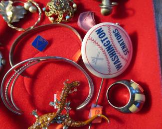 Washington Senators pin