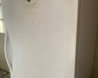Clean Upright Working Freezer