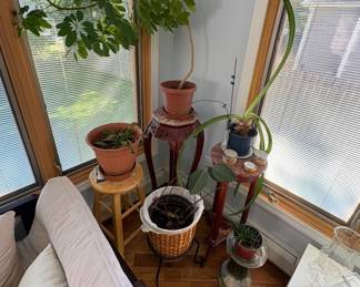 Plant Stands