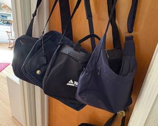 Carry On & Tote Bags 