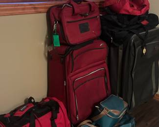 Pet carrier and luggage 