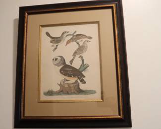 Set of 9 Alexander Wilson (1766-1813) ornithological matted and framed hand colored etchings depicting birds of the US