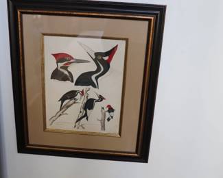 Set of 9 Alexander Wilson (1766-1813) ornithological matted and framed hand colored etchings depicting birds of the US