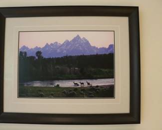  Thomas Mangelsen Elk with Snow Cap Mountains Photography Framed Dimensions 30" x 23"
