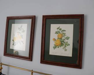 A pair of P J REDOUTE BOTANICAL PRINT -Vintage Botanical Book Plates Beautifully Framed 