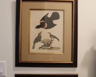 Set of 9 Alexander Wilson (1766-1813) ornithological matted and framed hand colored etchings depicting birds of the US