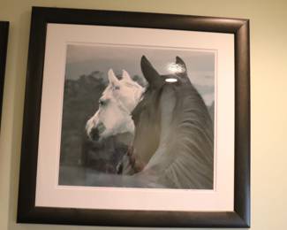 Susan Friedman Wild Horses Photography print Large 34" x 31"