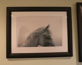Susan Friedman Wild Horses Photography = Framed 36" x 28" Beautiful White Horse
