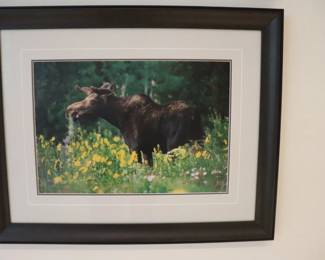  Thomas D. Mangelsen Mountain Meadow Moose signed Print #192/1200 Wildflowers