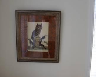 Wilson Pl. 50 Great Horned Owl; Barn O.; Meadow Mouse; Red Bat; Small-headed Flycatcher