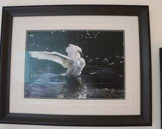  Thomas Mangelsen Changing Seasons Limited Edition Grand Teton National Park 1980 40" x 30"