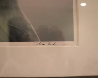Susan Friedman Wild Horses Photography = Framed 36" x 28" Beautiful White Horse
