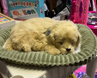 Sweet sleeping puppy