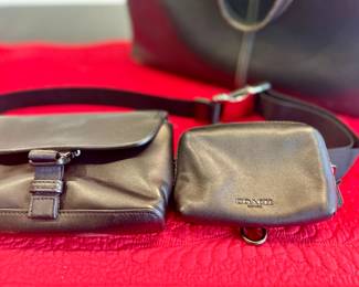 Coach belt bag