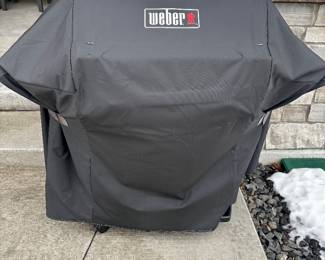 Weber grill and cover