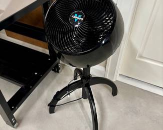 Vornado floor fan