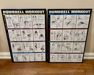 Framed workout dumbell
