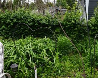 885Back Yard
