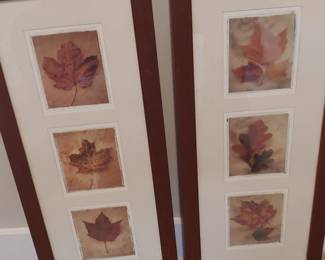 Pair of Matt / frame pictures of fall leaves