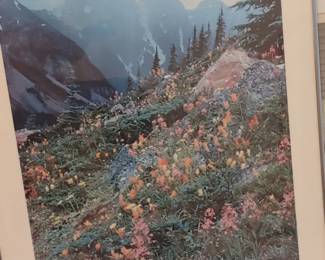 Galen Rowell poster the nature company/ American photography signed