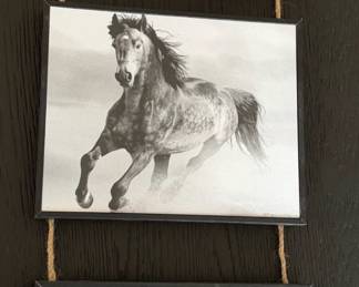 Set of Three Framed Black and White Horse Prints by Lisa Dearing