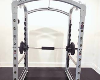 HOIST MiSmith Dual Action Smith Machine