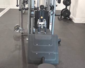 Matrix Fitness GMS Dual Station MultiGym