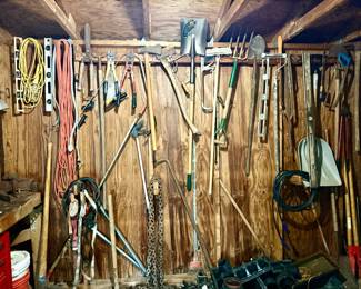 Some of the tools in the shed.