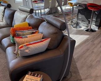 Arched LED Floor Lamp