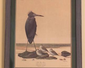Vintage framed print "Little Blue Heron" by American wildlife artist Ray Harm