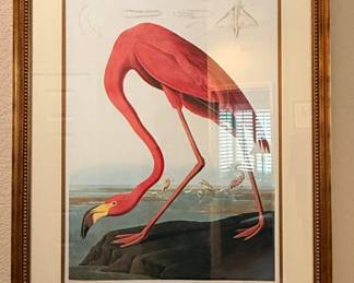 American Flamingo Audubon Print Image size 33 1/2" x 21 1/2"