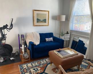 lamps, mirrors, fireplace, curtains & much more