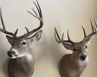 With a sneak to the left......