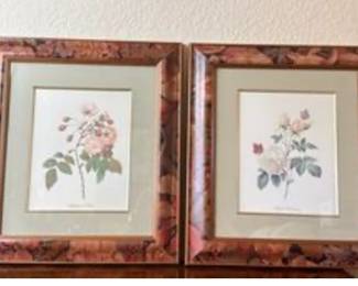 2 Framed botanical art prints
