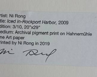 Ice in Rock Harbor, Ni Rong