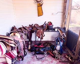 Horse Saddles and Equipment
