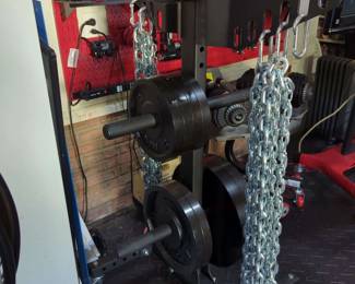 Lot 45:Group of Rogue free weights ranging from 5 lb to 45 lb. See photos for weight count. Includes chains and rolling stand.