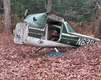 Yep, this is a Cessna....wings under leaves/