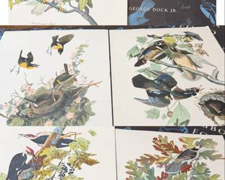 Lot of five Vintage Audubon Folio Lithographs with Original Cover