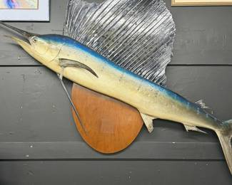 Vintage Sailfish Mount