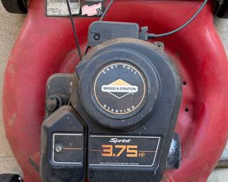 Briggs & Stratton Sprint 3.75 HP Rotary Mower