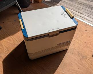 D171 - $20. Igloo cooler - it's an electric one but we did not find the plug to test it. 
