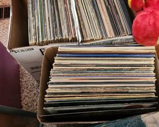 Haven't displayed yet but we have Vinyl Records. 