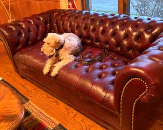 Hancock & Moore leather Chesterfield hobnailed sofa (Harry? Priceless!)