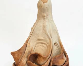 Dried Decorative Gourd