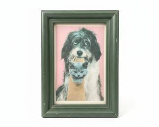 Vintage Dog and Cat in Sock Framed Print