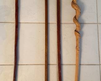 Walking sticks