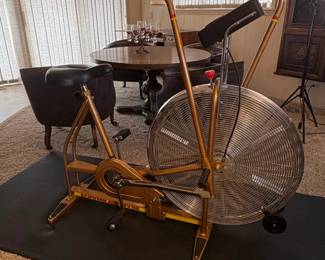 Vintage Schwinn Gold AirDyne Dual Action Exercise Bike