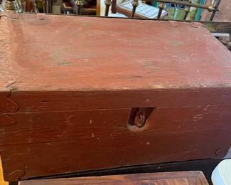 One primitive trunk